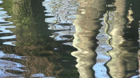Tree trunks reflected in rippling water of a pond Stock Footage 44575279