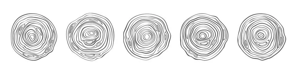 Tree trunks round sections. Circular wood rings, topographic map lines, outline Stock Illustration