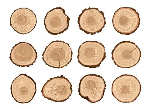 Tree trunks, stump wood cut with age rings Stock Illustration