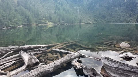 Tree Trunks Submerged In Blue Alpine Lake 動画素材 347579497