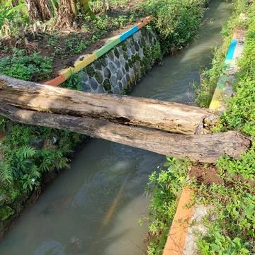Tree trunks used to cross the river Stock Photos