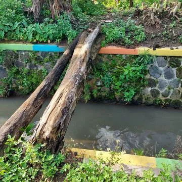 Tree trunks used to cross the river Stock Photos