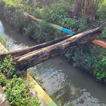 Tree trunks used to cross the river Stock Photos