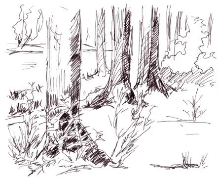 Tree trunks in the woods, graphic black and white pattern Stock Illustration