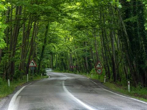 Tree tunnel Stock Photos