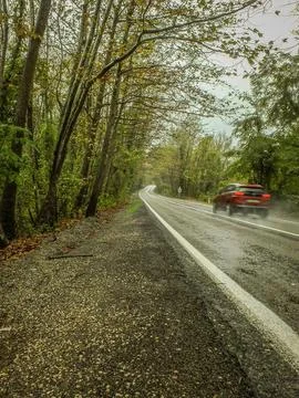 Tree tunnel 스톡 사진