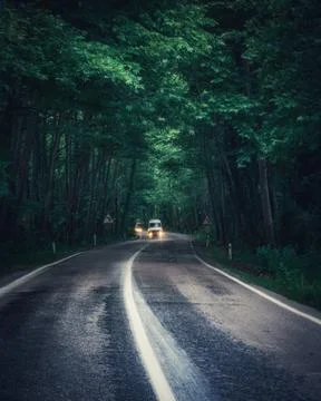 Tree tunnel in spring Stock Photos
