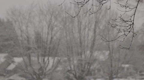 Tree twig in focus as snow falls in the background Stock Footage 59111238