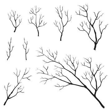 Tree twigs and branches. Stock Illustration