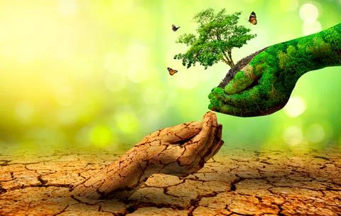 Tree in two hands  with very different environments Earth Day or World Enviro Stock Photos