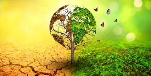 Tree in two  with very different environments Earth Day or World Environment  Stock Photos