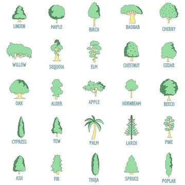 Tree types icons set vector color Stock Illustration