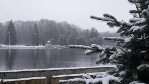 Tree under snow in the background of the urban river 4K Stock Footage 83829973