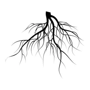 Tree Underground Roots Vector Set. Illustration Isolated On White Background Ilustración de archivo