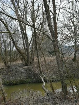 TREE upper river Stock Photos