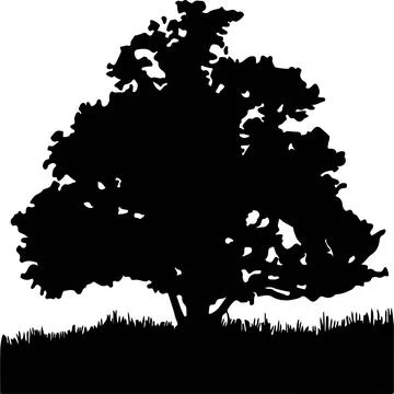 Tree vector illustration isolated on background Stock Illustration