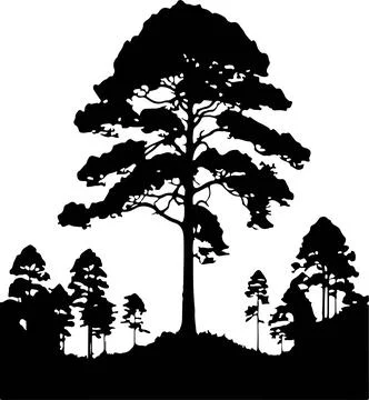 Tree vector illustration isolated on background Stock Illustration