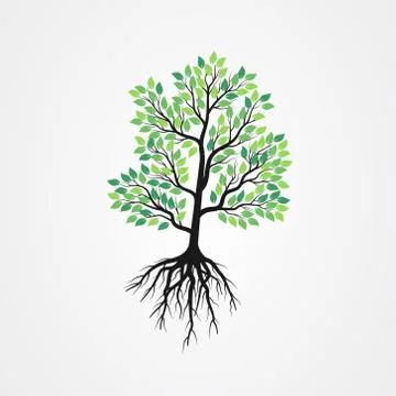 Tree vector illustration with roots and green leaves. Stock Illustration