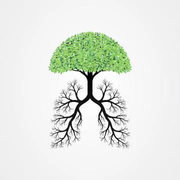 Tree vector illustration with the roots shaped like human lungs. Stock Illustration
