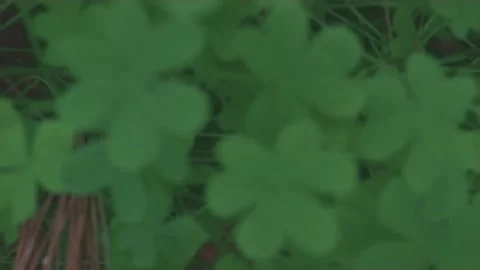 Tree view 스톡 동영상 130880594