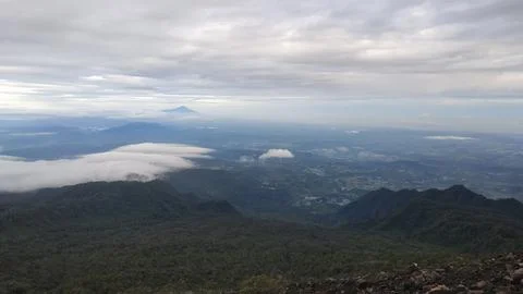 Tree view Stock Photos