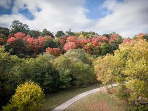 Tree Views over the park pathway Stock Photos