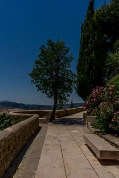 A tree in the walking path on Tajo De Ronda in the city of Ronda Spain, Europ Stock Photos