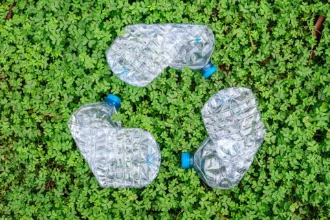Tree wasted plastic bottle in shape of the symbol of recycling on green Foto stock