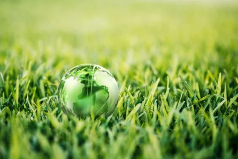 Tree wasted plastic bottle in shape of the symbol of recycling on green Stock Photos