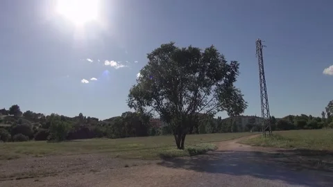 Tree in wasteland with sun and high-voltage tower or electricity pylon Stock Footage 318963685