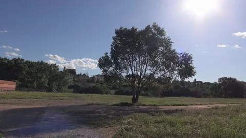 Tree in wasteland with sun Stock Footage 318963687
