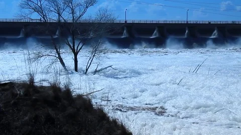 Tree in water Stock Footage 75006839
