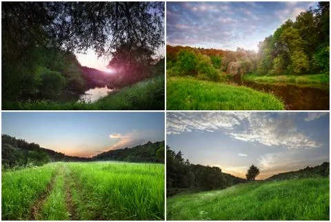 Tree on water Stock Photos