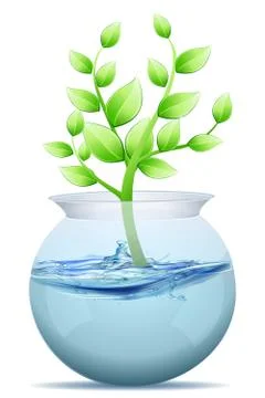 Tree in water pot Stock Illustration