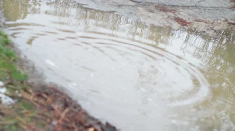 Tree in water reflection_Rippling_Graded 스톡 동영상 41511540