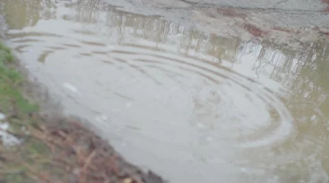 Tree in water reflection_Rippling_Ungraded 스톡 동영상 41511021