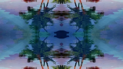 Tree water reflections Video stock 82252252