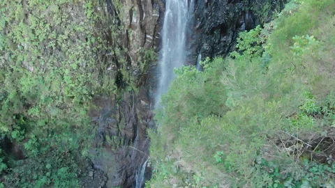 Tree, waterfall, island, Drone Stockbeeldmateriaal 120743703