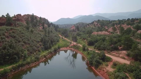 Tree on Waters Edge Stock Footage 84955749