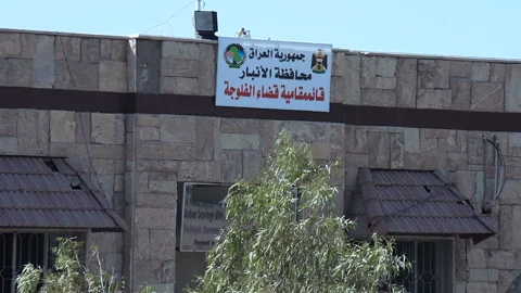 Tree waving under Fallujah Mayoralty sign, Iraq Stock Footage 149950866