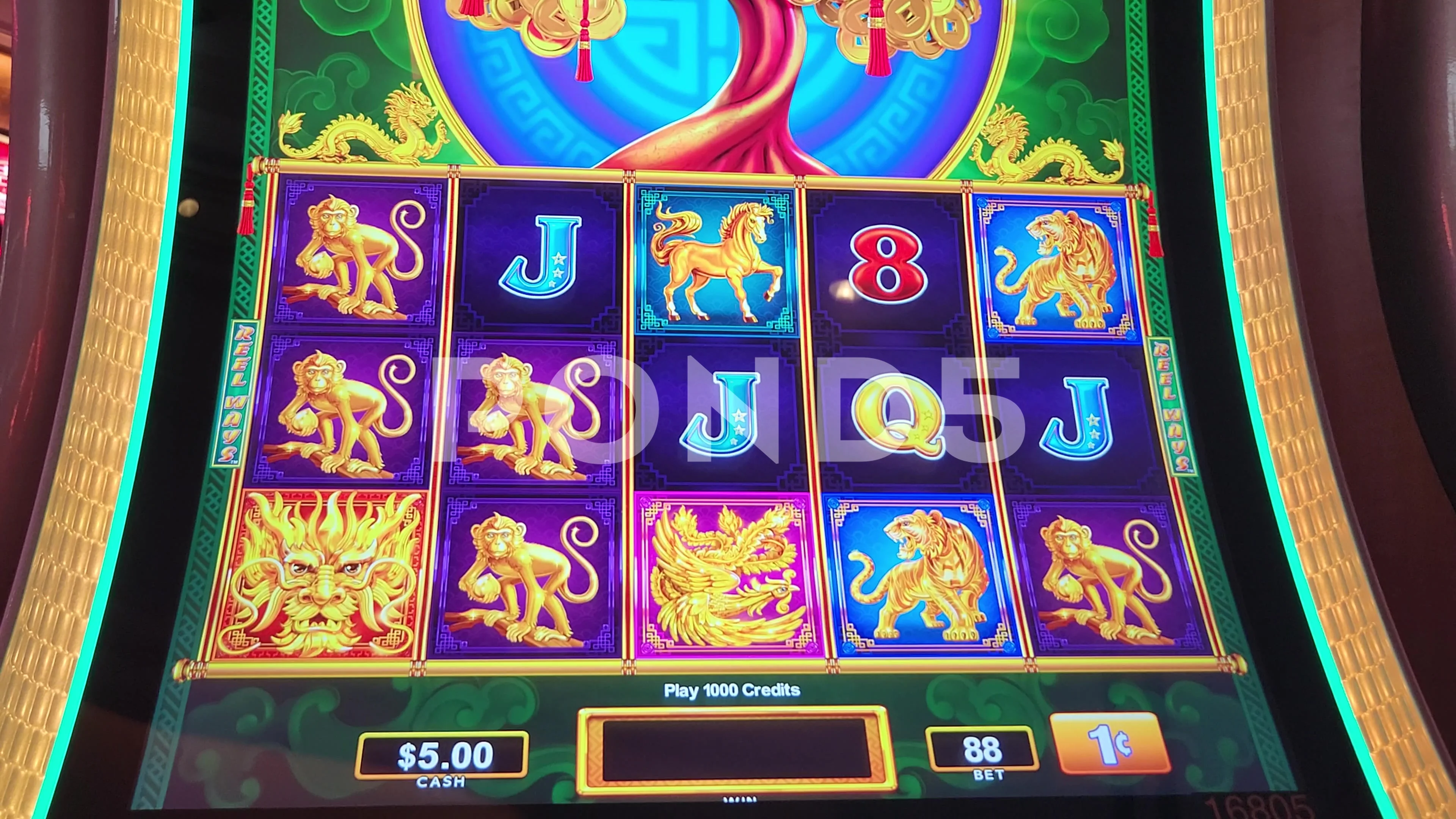 tree of wealth slot machine