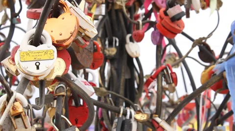 A tree with wedding locks Video stock 35739609