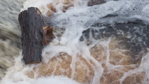 Tree in the Whirlpool of a Waterfall 4K Stock Footage 142599100
