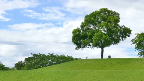 A tree with white clouds and a mountain backdrop. Stock Footage 93116806