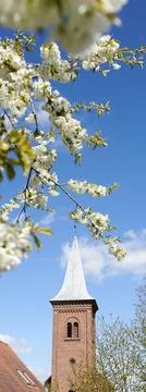 Tree, white flowers and blossom with sky in spring for growth, church tower.. Fotos Stock