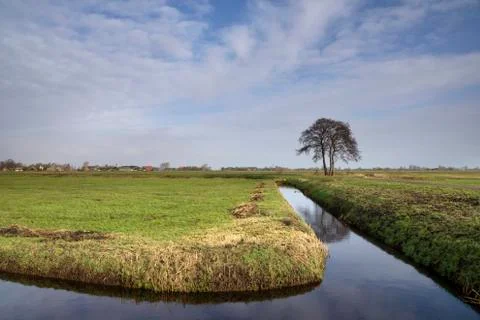 Tree in a wide landscape Stock Photos