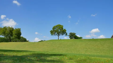 The tree with the wind against a background of sky and clouds 4K Stock Footage 68790439