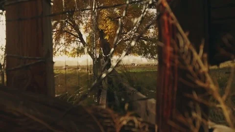 Tree Wind Farm 01 Stock Footage 82274044