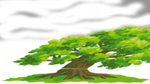 A tree in the wind Stock-Footage 134932565