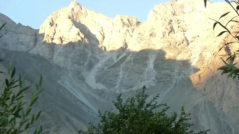 Tree In Wind In Front Of Moutains - Handheld Video stock 80637616